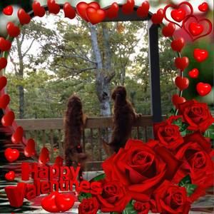 Meet your Posher, Genelle